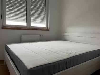 Zmaj Ognjena Vuka 14 | 4zida.rs