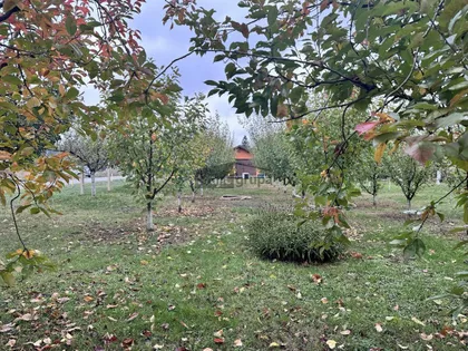 Novoseljanski put | 4zida.rs