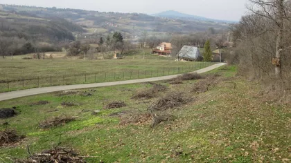 Put Za Malu Ivanču | 4zida.rs