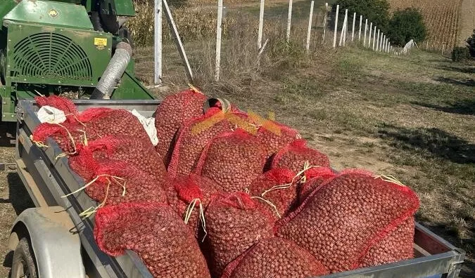 Poljoprivredno zemljište | 4zida