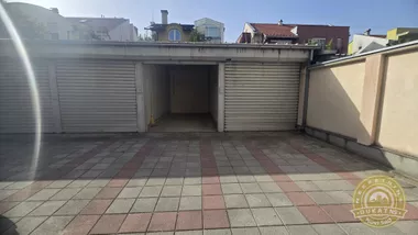 Miše Dimitrijevića