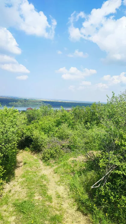 Višnjica | 4zida.rs