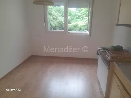 Žila Verna | 4zida.rs