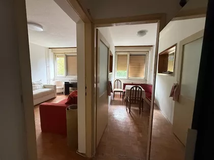 Sava Kovačević | 4zida.rs