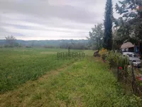 Plac | 4zida