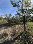 Trnava, Gradske lokacije, Jagodina | 4zida.rs | 4zida.rs