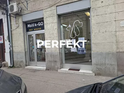 Žarka Zrenjanina | 4zida.rs