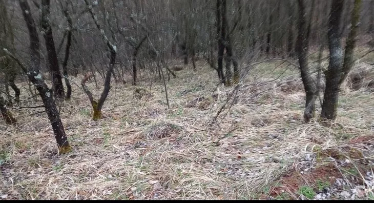 Poljoprivredno zemljište | 4zida