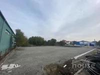 Lokal | 4zida
