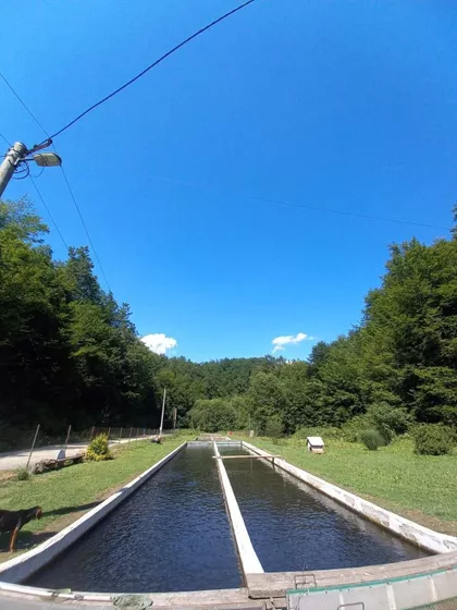 Zaselak Bobija 1 | 4zida.rs