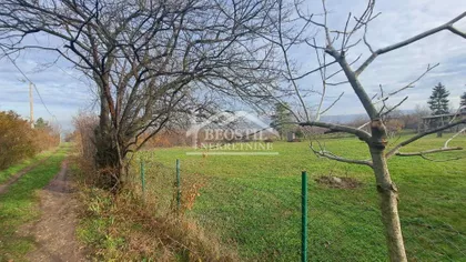 Boška Buhe | 4zida.rs