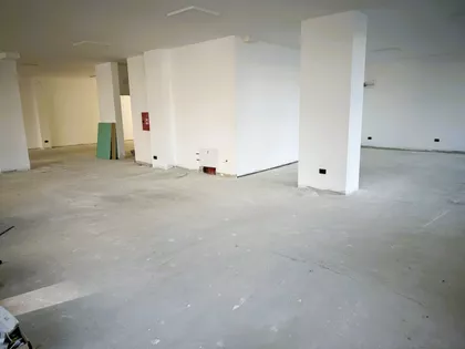 Zrenjaninski Put | 4zida.rs