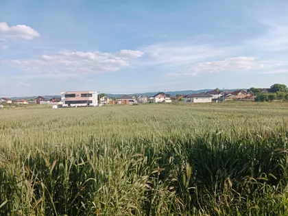 Anastasa Bocarića | 4zida.rs