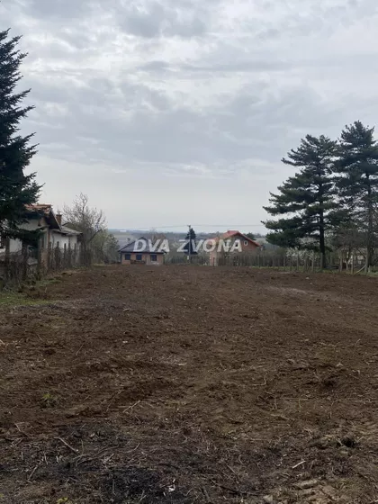 Čortanovci | 4zida.rs