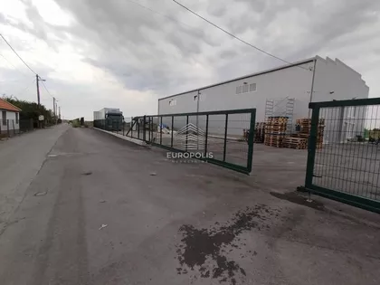 Makiš | 4zida.rs