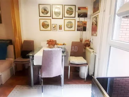 Milorada Šapčanina | 4zida.rs