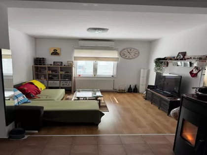 Žička 7B | 4zida.rs
