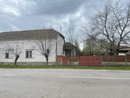 Ive Lole Ribara 44 | 4zida.rs