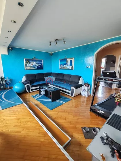 Darvinova pošta | 4zida.rs