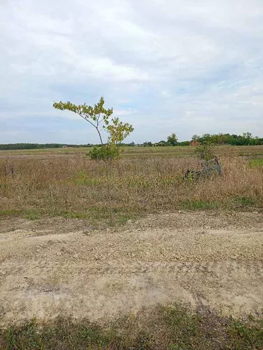 Željezničko Naselje