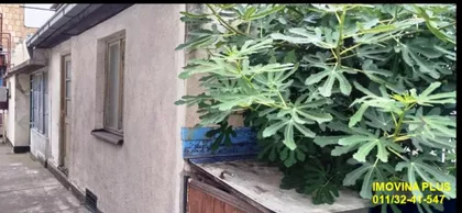Majora Zorana Radosavljevića | 4zida.rs