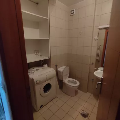 Paje Jovanovića | 4zida.rs