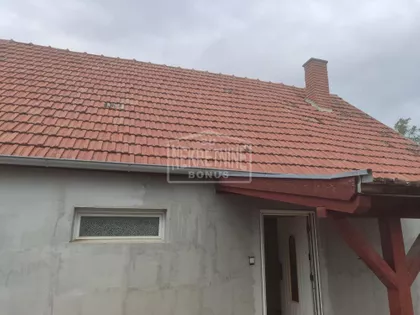 Srpski Šor | 4zida.rs