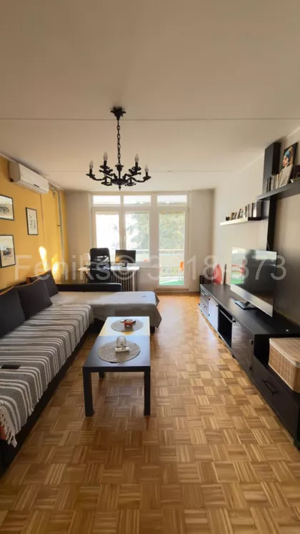 Dr Ivana Ribara | 4zida.rs