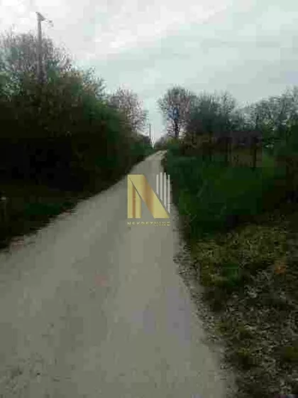 Čortanovci | 4zida.rs