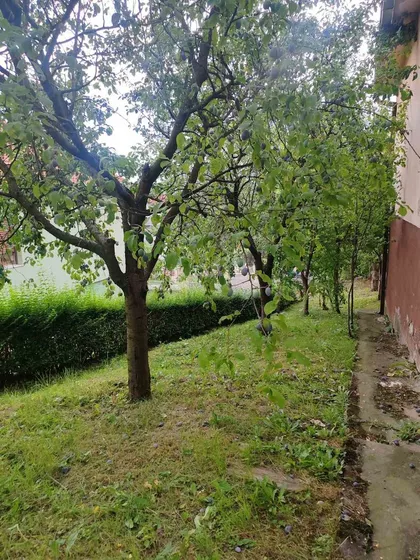Loznica - Centar | 4zida.rs