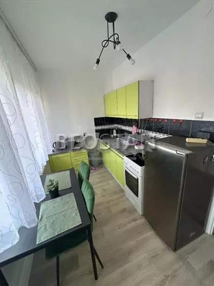 Dr Ivana Ribara | 4zida.rs