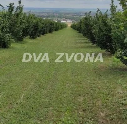 Poljoprivredno zemljište | 4zida