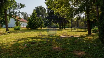 Branka Ćopića | 4zida.rs