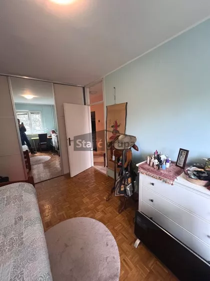 Dr Ivana Ribara | 4zida.rs