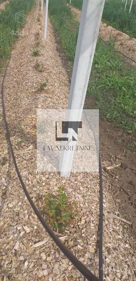 Poljoprivredno zemljište | 4zida