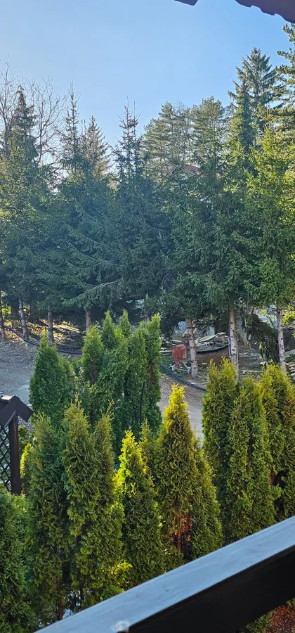 Sunčani Breg | 4zida.rs