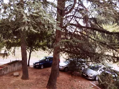 Vidikovački venac