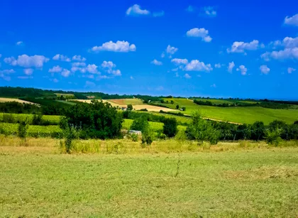 Svetosavska | 4zida.rs