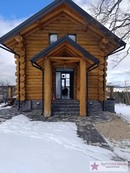 Borova glava | 4zida.rs