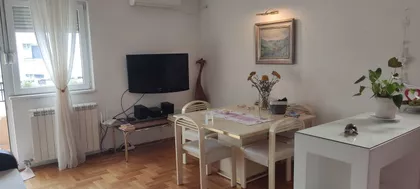 Milana Rakića | 4zida.rs