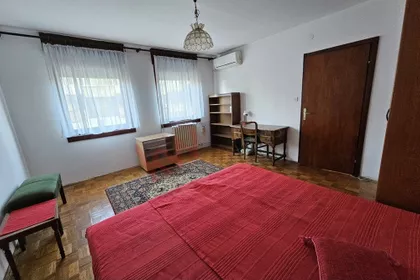 Bulevar despota Stefana | 4zida.rs