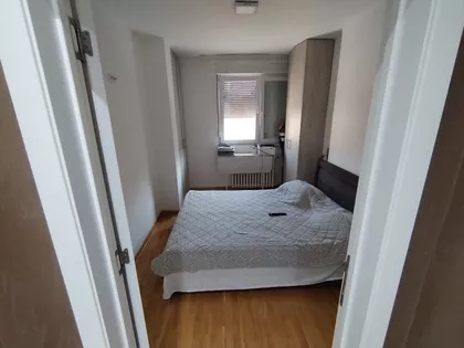 Radoja Domanovica | 4zida.rs