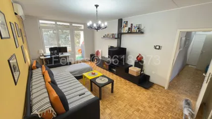 Dr Ivana Ribara | 4zida.rs