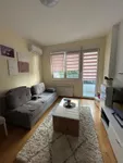 Socijalno, Rotkvarija, Gradske lokacije, Novi Sad | 4zida.rs | 4zida.rs