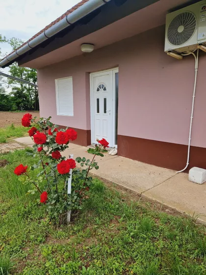 Gornji Tavankut | 4zida.rs