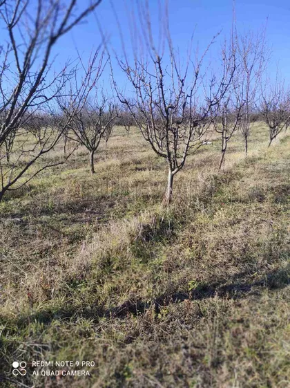 Malo Krčmare | 4zida.rs
