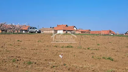 Brestovnik | 4zida.rs