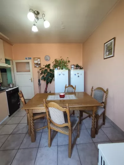 Cara Dušana | 4zida.rs