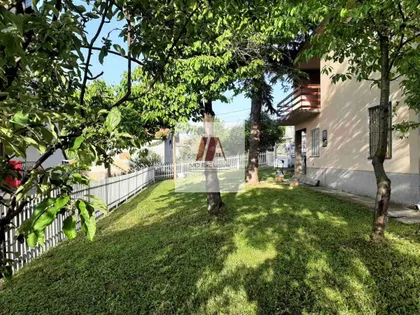 Rada Tadića | 4zida.rs