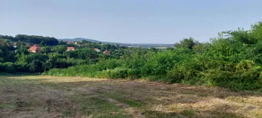 Drenovačka